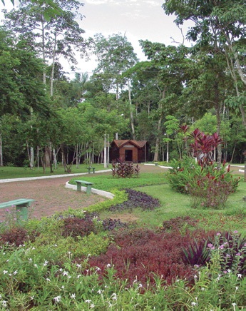 Parque Chico Mendes